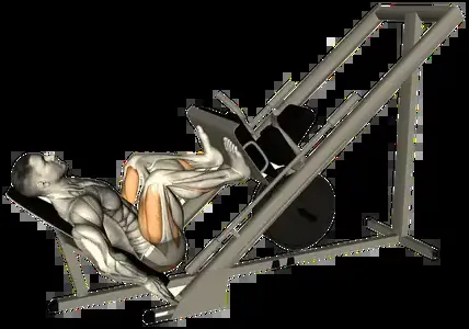Starting position for the 45-Degree Leg Press