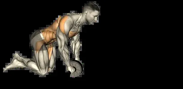 Starting position for the Ab Wheel Rollout
