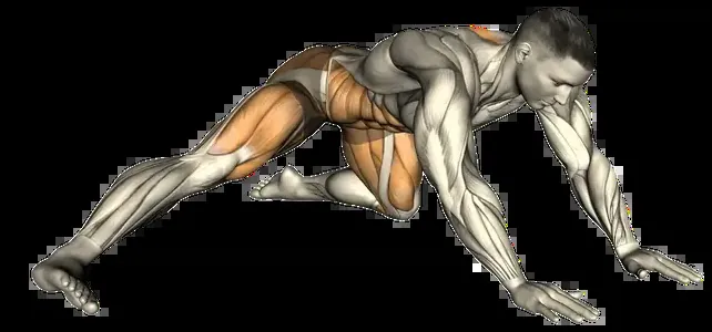 Starting position for the Adductor Rock-Back