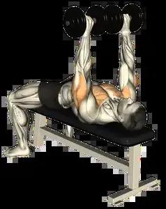 Starting position for the Alternating Dumbbell Bench Press