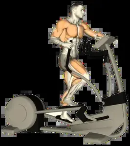 Starting position for the Arc Trainer