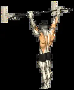Starting position for the Archer Pull-Up
