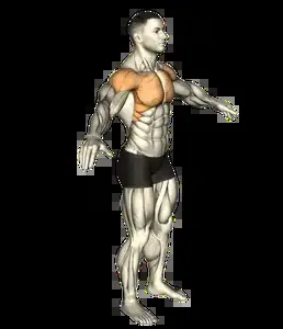 Starting position for the Arm Circles