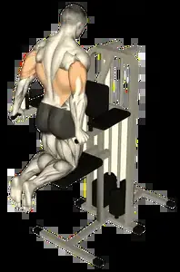 Starting position for the Assisted Dip Machine