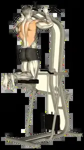 Starting position for the Assisted Pull-Up Machine