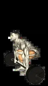 Starting position for the Axle Deadlift