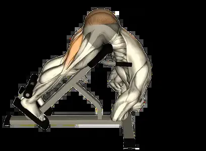 Starting position for the Back Extension