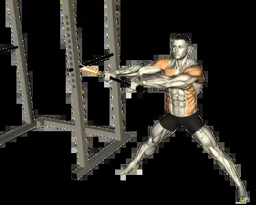 Starting position for the Band Anti-Rotation Hold