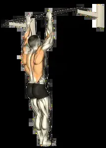 Starting position for the Band Assisted Pull-Up