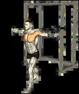 Starting position for the Band Chest Fly