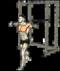 Starting position for the Band Chest Press