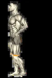 Starting position for the Band Glute Kickback