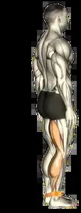 Starting position for the Band Leg Curl