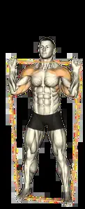 Starting position for the Band Overhead Press