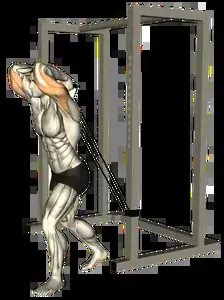 Starting position for the Band Overhead Triceps Extension