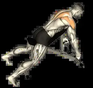 Starting position for the Band Rear Delt Fly