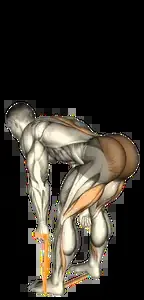 Starting position for the Band Romanian Deadlift