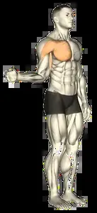 Starting position for the Band Shoulder Internal Rotation