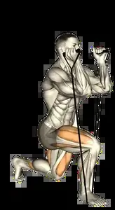 Starting position for the Band Split Squat
