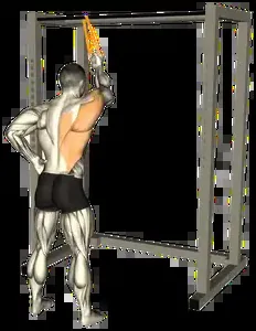 Starting position for the Band Straight-Arm Pulldown
