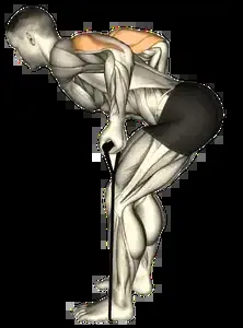 Starting position for the Band Triceps Kickback