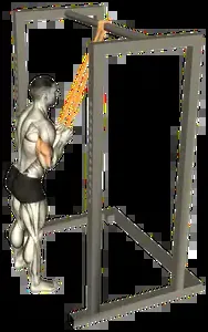 Starting position for the Band Triceps Pushdown