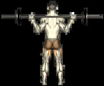Starting position for the Barbell Back Squat