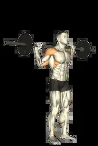 Starting position for the Barbell Behind-the-Neck Press