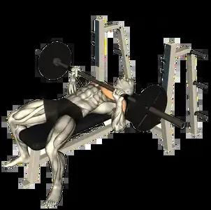 Starting position for the Barbell Bench Press