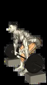 Starting position for the Barbell Block Pull