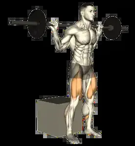 Starting position for the Barbell Box Squat