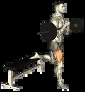 Starting position for the Barbell Bulgarian Split Squat