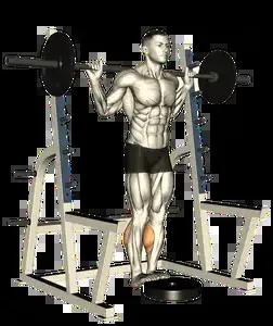 Starting position for the Barbell Calf Raise