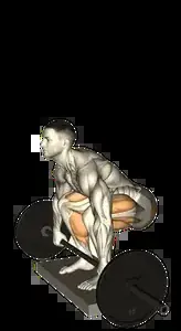 Starting position for the Barbell Deficit Deadlift