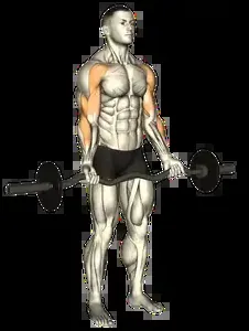 Starting position for the Barbell Drag Curl