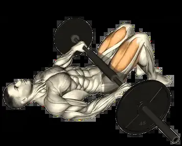 Starting position for the Barbell Glute Bridge