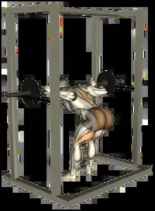 Starting position for the Barbell Good Morning