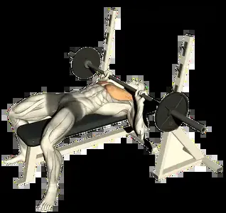 Starting position for the Barbell Guillotine Press