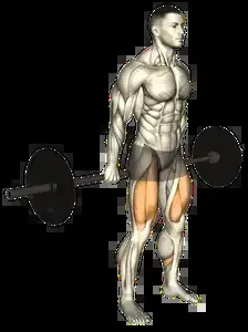Starting position for the Barbell Hack Squat