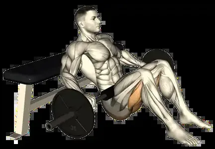 Starting position for the Barbell Hip Thrust