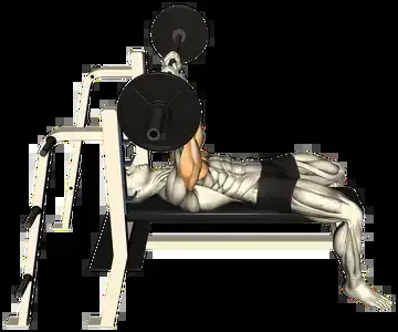 Starting position for the Barbell JM Press