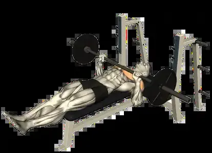 Starting position for the Barbell Larsen Press