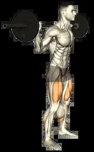 Starting position for the Barbell Low-Bar Back Squat