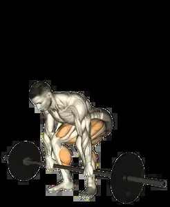 Starting position for the Barbell Pause Deadlift