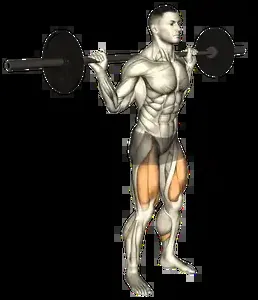 Starting position for the Barbell Pause Squat