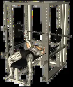 Starting position for the Barbell Pin Press
