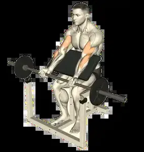 Starting position for the Barbell Preacher Curl