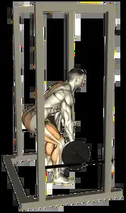Starting position for the Barbell Rack Pull