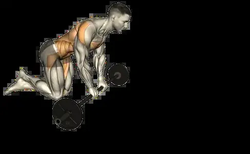 Starting position for the Barbell Rollout