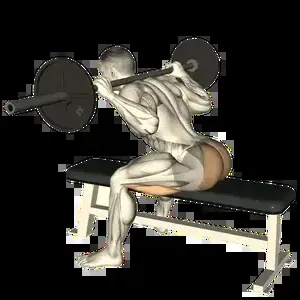 Starting position for the Barbell Seated Good Morning